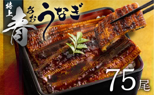 厳選 高級 青うなぎ 蒲焼 75尾 11250g 訳あり 大容量