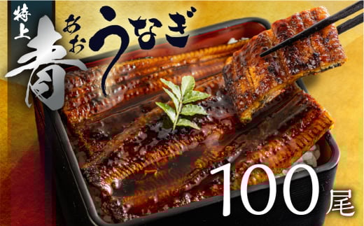 厳選 高級 青うなぎ 蒲焼 100尾 15kg 15000g 訳あり 大容量