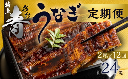 厳選 高級 幻の青うなぎ 蒲焼 2尾 全12回 定期便　合計24尾　 | 国内において幻とも称される「青うなぎ」のみをお届け  食感・風味全てに自信のある最高のうなぎ