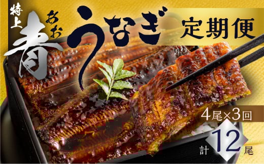 厳選 高級 幻の青うなぎ 蒲焼 4尾 全3回 定期便　合計12尾　| 国内において幻とも称される「青うなぎ」のみをお届け  食感・風味全てに自信のある最高のうなぎ