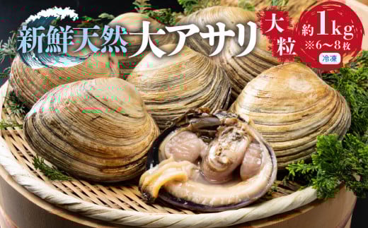 秀品・天然大アサリ 約1kg 希少な大粒サイズ秀品 天然大アサリ 希少 大粒サイズ 特製だし醤油付き CAS冷凍 海鮮バーベキュー BBQ 三河湾産 天然 大アサリ あさり 国産 アサリ 愛知県 田原市 新鮮 砂抜き 海鮮 魚介類 魚介 貝 冷凍 人気 16000円