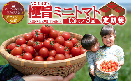 グランプリ受賞 完熟 出汁推し実 ミニトマト 1.5kg  3回お届け定期便