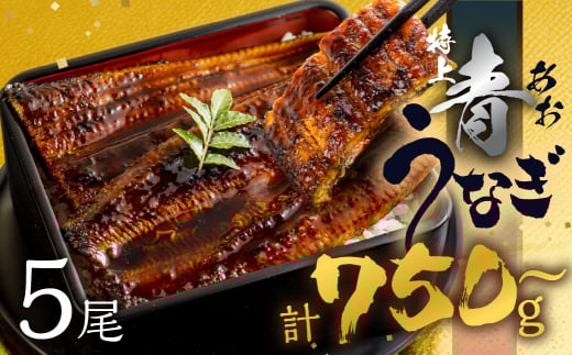 厳選 幻の青うなぎ 5尾 蒲焼 750g | 2週間でお届け 食感・風味全てに自信のある最高のうなぎ