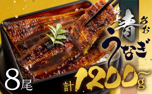 厳選 幻の青うなぎ 8尾 蒲焼 1200g | 2週間でお届け 食感・風味全てに自信のある最高のうなぎ