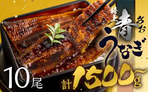 厳選 幻の青うなぎ 10尾 蒲焼 1500g | 2週間でお届け 食感・風味全てに自信のある最高のうなぎ