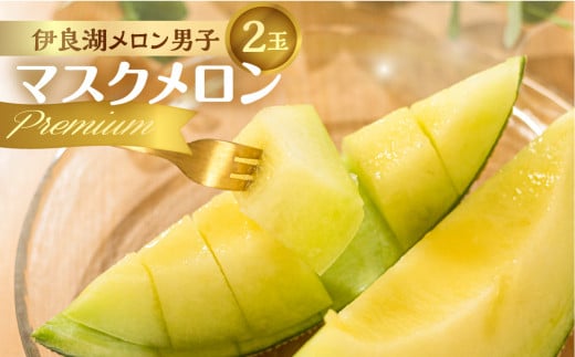 【先行予約】 伊良湖産 マスクメロン Premium 2玉 2026年6月下旬から8月中旬まで順次発送 箱詰め メロン フルーツ 果物 お取り寄せ ギフト 渥美半島 田原市 産地直送 送料無料