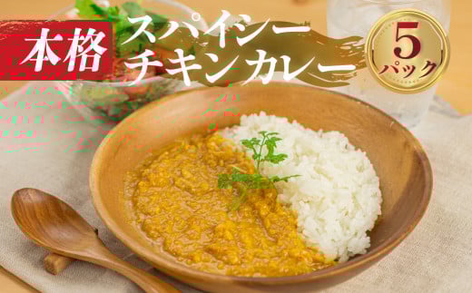 本格 簡単調理 スパイシー チキンカレー 5袋