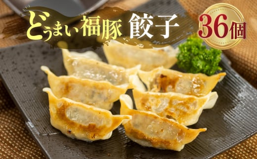 季節限定　2月～5月発送　福豚餃子