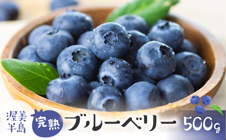 【先行予約】2026年発送　渥美半島　完熟　ブルーベリー　500g
