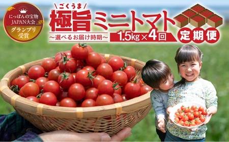 グランプリ受賞 完熟 出汁推し実 ミニトマト 1.5kg  4回お届け定期便