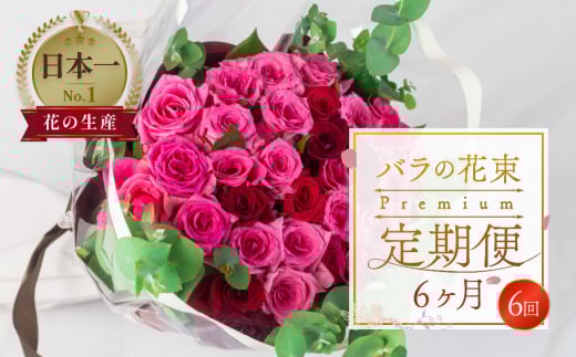 【定期便】薔薇のアレンジメント プレミアム 6ヶ月 6回お届け 花束 最上級 30本 (50cm) ブーケ 薔薇 ローズ 生花 観賞用 プレゼント 花 ギフト 誕生日 植物 フラワー 土壌栽培 産地直送 田原市 人気 切り花 切花 138000円