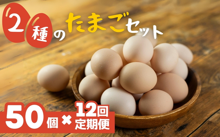 希少な2種のたまごセット 50個 12ヶ月定期便 割れ保証付き 卵 たまご 鶏卵 50 お楽しみ 定期便 12回 12か月 12カ月 1年