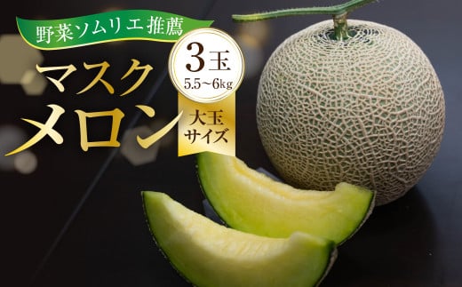先行予約 数量限定 野菜ソムリエ推薦渥美半島伊良湖潮風育ちマスクメロン3玉大玉サイズ(5.5～6キロ)カラーギフト箱入り 2026年６月下旬～８月上旬発送 田原市 伊良湖産 ギフト プレゼント お取り寄せ 渥美半島 農家直送 送料無料 25000円