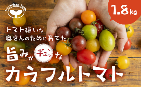 【先行予約】2025年発送　カラフルトマト　1.8kg