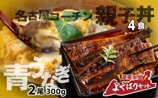 青うなぎ＆親子丼 渥美半島よくばりセット 年内 蒲焼き 鰻 ウナギ うなぎ蒲焼 惣菜 幻 簡単調理 おいしい 高評価 ふるさと納税 魚 さかな 魚介 ランキング 名古屋コーチン 鶏肉 おすすめ