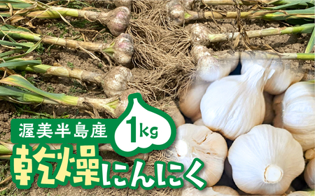 ≪先行予約≫ 訳あり 渥美半島産　ニンニク （乾燥）１ｋｇ 簡易包装 にんにく 国産にんにく 平戸にんにく 愛知県 田原市