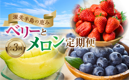 渥美半島の恵み フルーツ 定期便 3回お届け ( いちご / ブルーベリー / メロン )