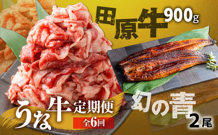 幻の青うなぎ＆田原牛 堪能 定期便 6回お届け