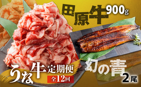 幻の青うなぎ＆田原牛 堪能 定期便 12回お届け