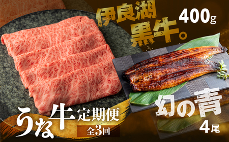 幻の青うなぎ＆伊良湖黒牛。 堪能 定期便 3回お届け