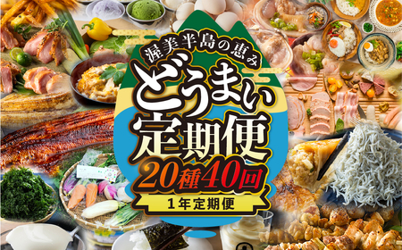 渥美半島の恵み 20種 40回 12 カ月 1年定期便