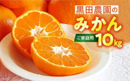 渥美半島の伊良湖みかん 10kg（ 箱重量を含む ）訳あり　 みかん ミカン 蜜柑 送料無料 フルーツ 果物 大容量 渥美半島 甘い 濃厚 コク ジューシー 産地直送 田原市