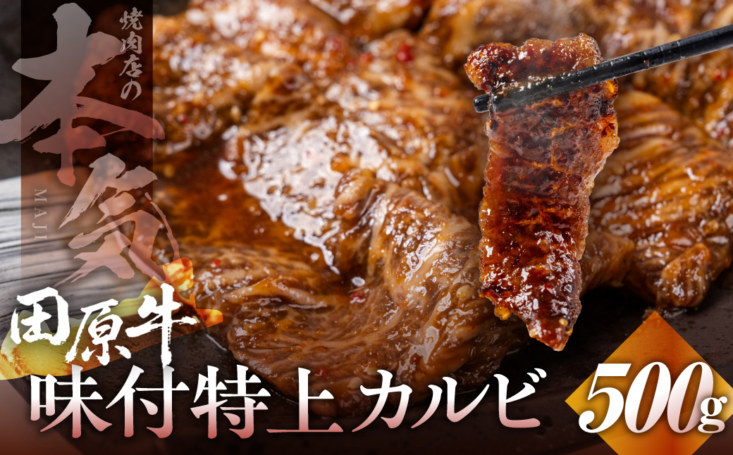 【ブランド牛】田原牛のタレ付き特選上カルビ500g ／ 牛肉 BBQ 愛知県 産地直送 田原市 渥美半島