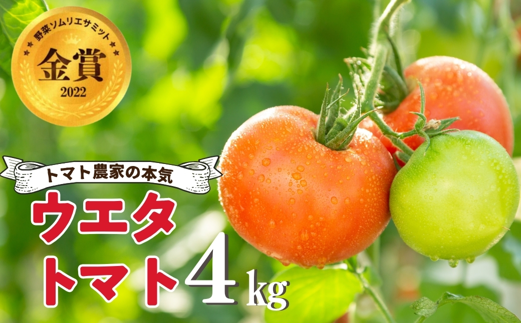 《先行予約》 濃厚！ウエタトマトのトマト 4kg／ とまと 冬トマト 野菜 厳選 愛知県 産地直送 田原市 渥美半島