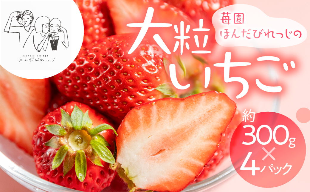 ≪先行予約≫ 苺園 ほんだびれっじの苺 4パック 計約1200g (約300g×4) 激甘 イチゴ いちご 1.2kg