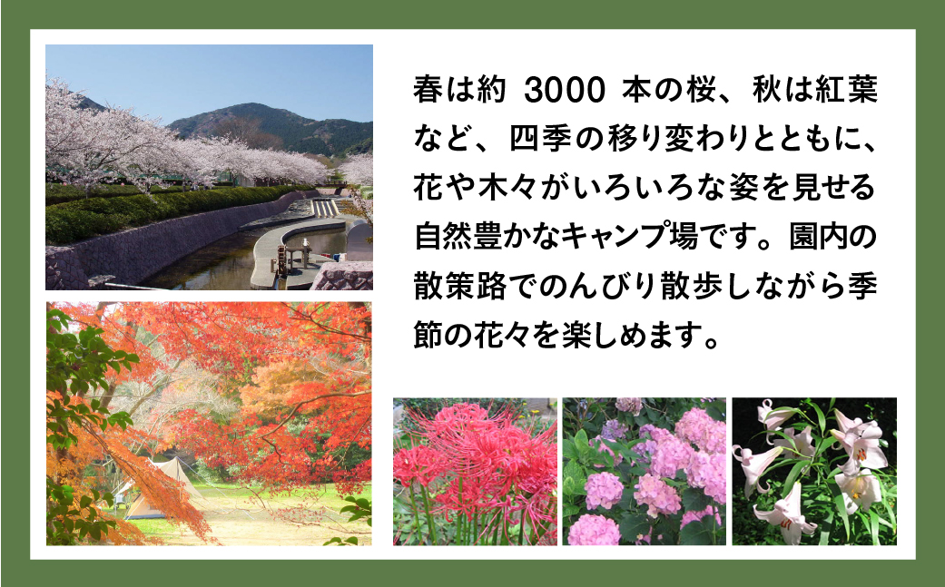滝頭公園キャンプ場利用券　滝頭公園キャンプ場利用券 キャンプ場 キャンプ アウトドア 薪 デイキャンプ 宿泊 桜 四季 自然 山 散歩 ジョギング 田原市 人気 渥美半島 愛知県