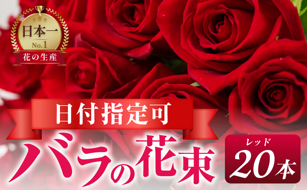 【赤】バラ 花束 20本 花 薔薇 生花 愛知県 田原市