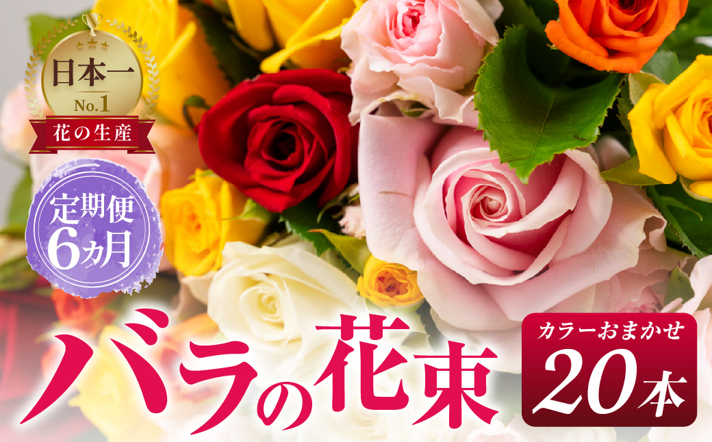 バラ 花束 20本 定期便 6カ月コース