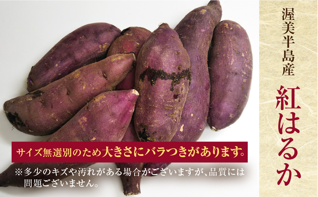 【先行予約】訳あり さつまいも 5kg サイズ無選別 紅はるか 田原市 渥美半島 サツマイモ 芋 焼芋 やきいも 焼き芋 おやつ