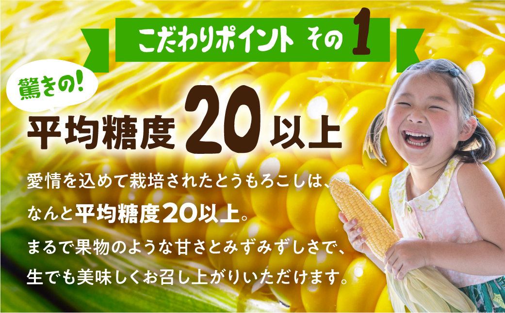 《先行予約》高評価 平均糖度20以上 極甘とうもろこし 10本 朝採り 人気 甘い 訳あり ワケアリ 簡単調理 まるで フルーツ 送料無料 高レビュー 数量限定 2025年 先行予約