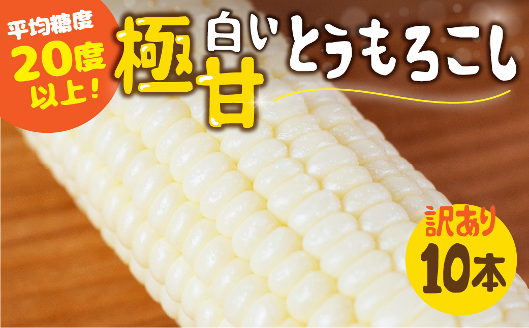 《先行予約》高評価 平均糖度20以上 白い極甘とうもろこし 10本 朝採り 人気 甘い 訳あり ワケアリ 簡単調理 まるで フルーツ 送料無料 高レビュー 数量限定 2025年 先行予約