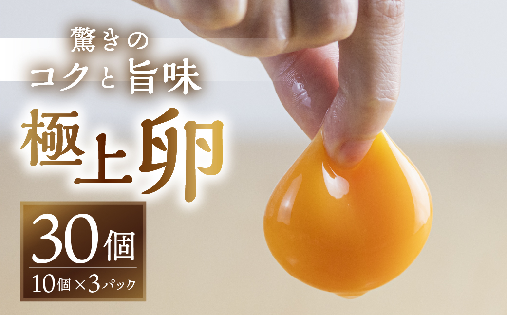 【感動の卵体験】コク旨 極上卵 30個 割れ保証付き