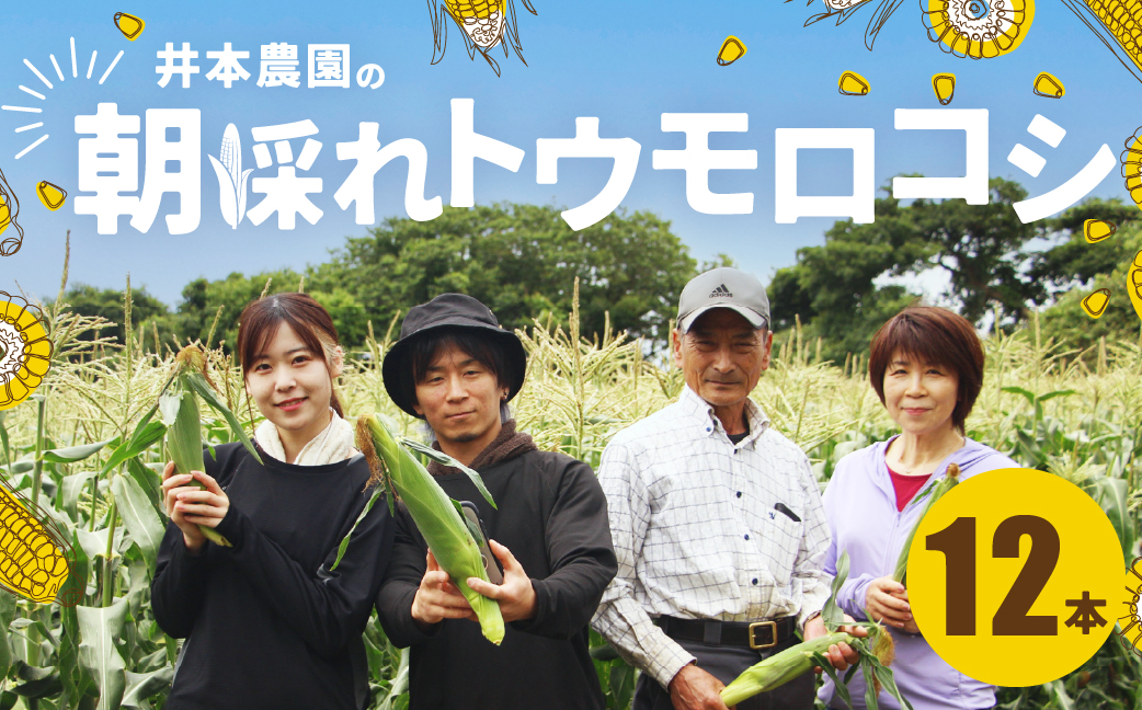 【先行予約】井本農園の朝採れトウモロコシ 12本 とうもろこし デザート 農家直送 送料無料 朝採れ コーン 野菜 キャンプ BBQ バーベキュー おやつ 田原市 渥美半島 愛知県 夏 旬