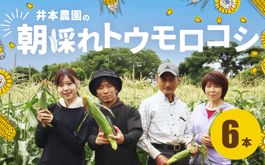 【先行予約】井本農園の朝採れトウモロコシ 6本 とうもろこし デザート 農家直送 送料無料 朝採れ コーン 野菜 キャンプ BBQ バーベキュー おやつ 田原市 渥美半島 愛知県 夏 旬