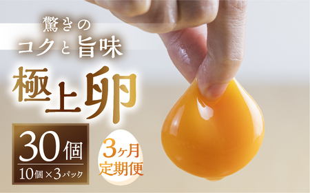 【3回お届け】コク旨 極上卵 30個 割れ保証付き 定期便 （ たまご 卵 毎月 3回 3ヶ月 3ヵ月 3か月 ランキング ）