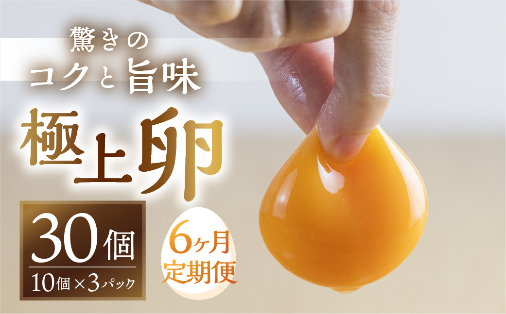 【6回お届け定期便】コク旨 極上卵 30個 割れ保証付き 定期便 （ たまご 卵 毎月 6回 6ヶ月 6ヵ月 6か月 半年 ランキング ）