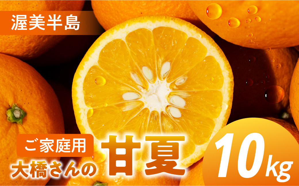 大橋農園の ご家庭用 甘夏 10kg 甘夏 あまなつ 柑橘 柑橘類 フルーツ 果物 旬 訳あり ワケアリ 訳アリ 愛知県 田原市 渥美半島