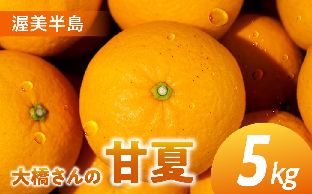 大橋農園の 甘夏 5kg 甘夏 あまなつ 柑橘 柑橘類 フルーツ 果物 旬 オレンジ みかん マーマレード マーマレードジャム ゼリー に 愛知県 田原市 渥美半島