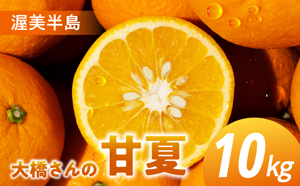 大橋農園の 甘夏 10kg 甘夏 あまなつ 柑橘 柑橘類 フルーツ 果物 旬 マーマレード マーマレードジャム ゼリー に 愛知県 田原市 渥美半島