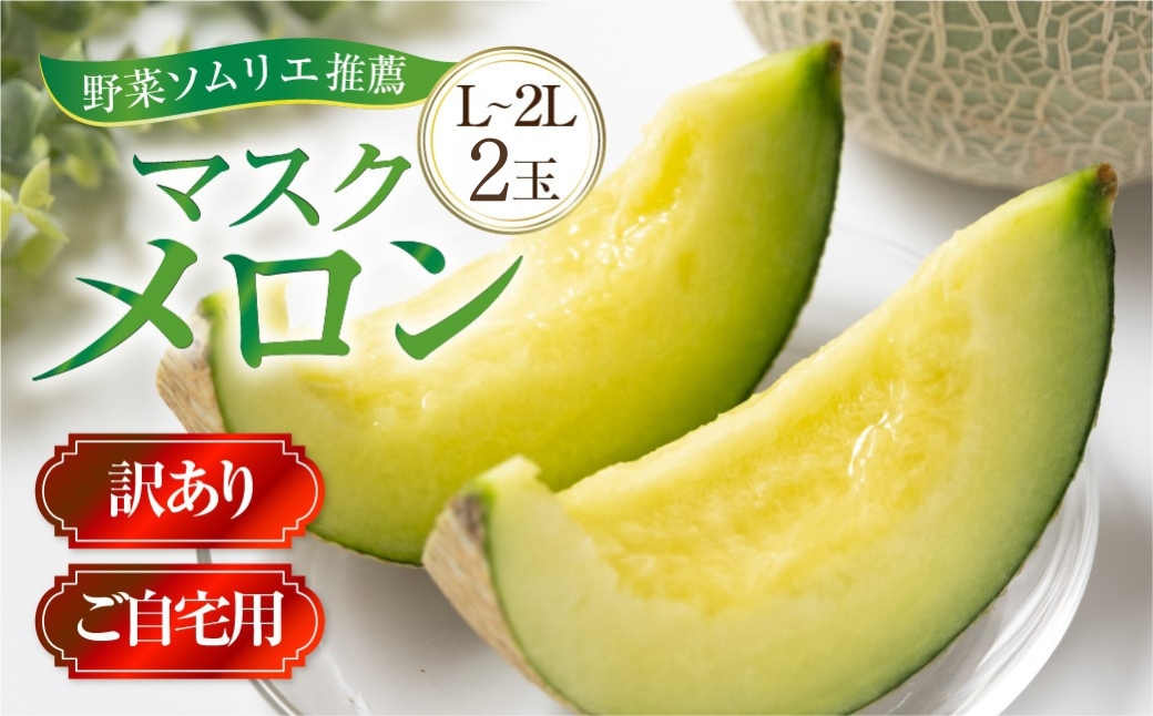 先行予約 訳あり マスクメロン L～2L 2玉 メロン 野菜ソムリエ推薦 数量限定 渥美半島 伊良湖潮風育ち 田原市 ご自宅用 お取り寄せ 産地直送 送料無料 12000円