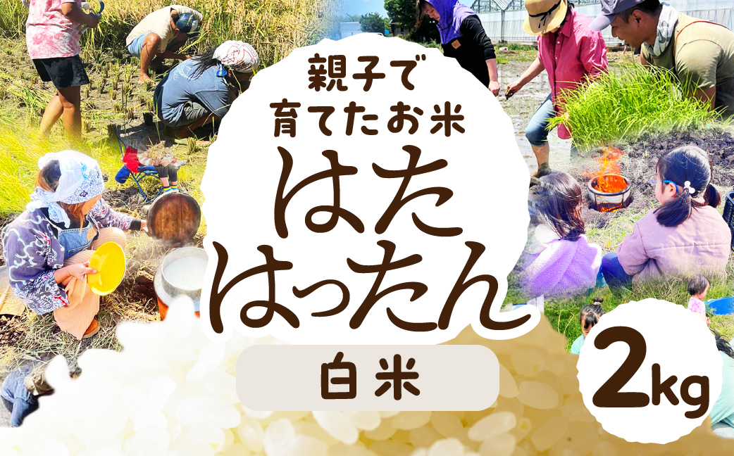 玄米 2kg お米 白米 玄米 お米 米 コメ こめ ご飯