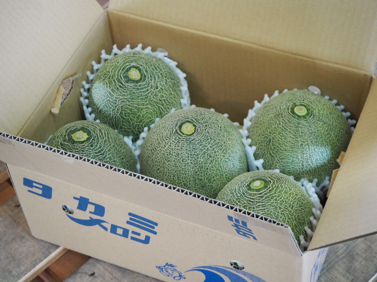 【先行予約】タカミメロン 4 ～ 6玉 入り （ 3L ～ L ）メロン フルーツ 果物 愛知県 田原市 渥美半島 お取り寄せ ギフト 贈り物 プレゼント 贈答 贈答用