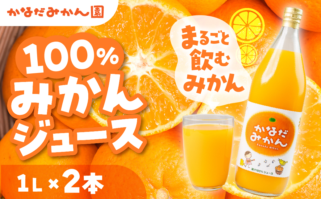 100% みかんジュース 1L × 2本 みかん みかんジュース 蜜柑 ミカン ミカンジュース みかん100％ 柑橘 柑橘類 フルーツ 果物 旬 愛知県 田原市 渥美半島