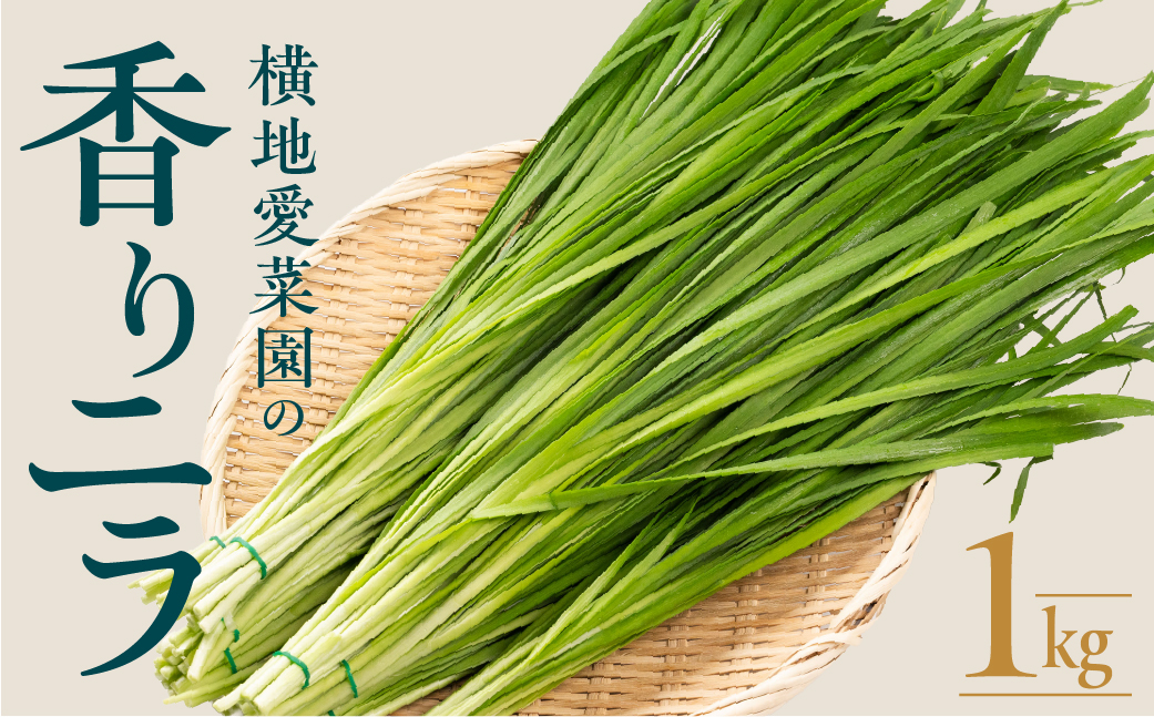 横地愛菜園の 香りニラ 1kg ニラ 小分け 国産 1kg 餃子 もつ鍋 野菜炒め に 野菜 旬 料理 葉物野菜 にら 愛知県 田原市 渥美半島