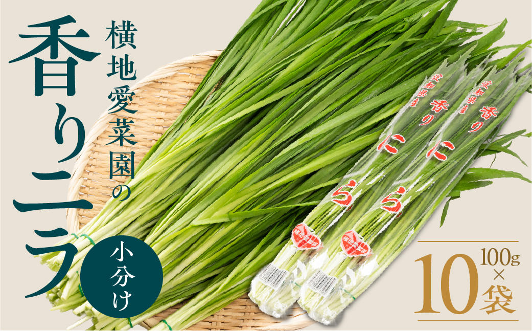 横地愛菜園の 香りニラ 100g小分け袋 ニラ 小分け 国産 100g 餃子 もつ鍋 野菜炒め に 野菜 旬 料理 葉物野菜 にら 愛知県 田原市 渥美半島