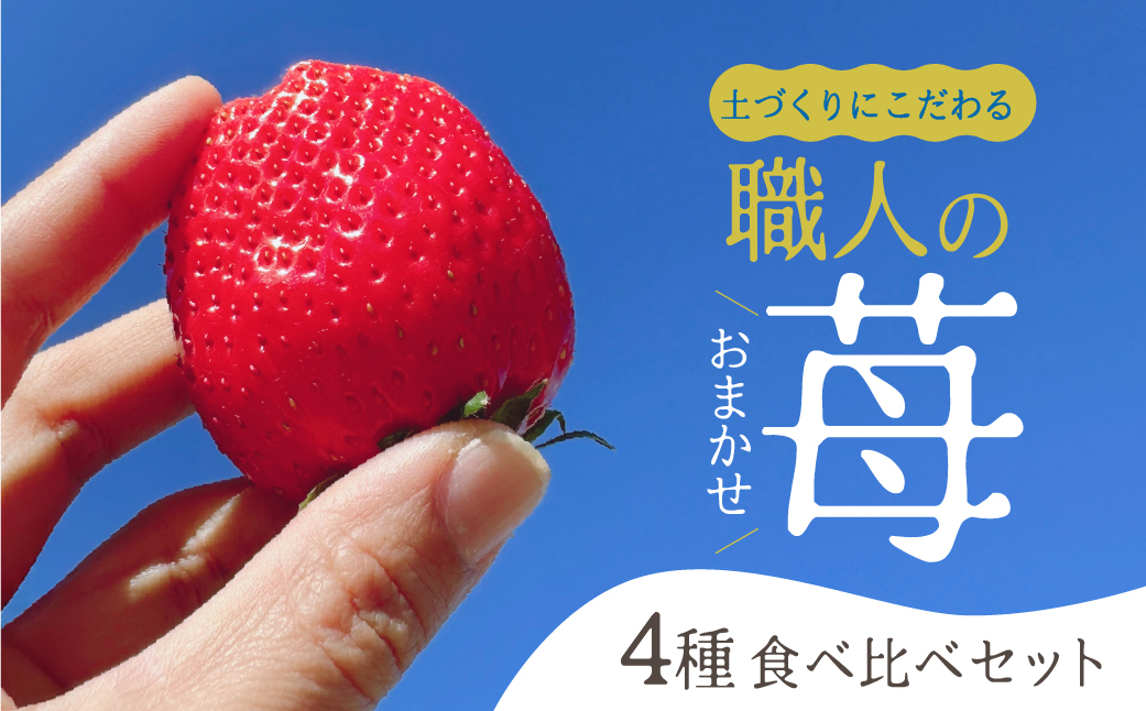 【先行予約】安心安全！職人が作るおまかせ苺 4種 食べ比べセット いちご 苺 おまかせ のため 訳あり 食べ比べ セット 安心 安全 国産 愛知県 田原市 渥美半島